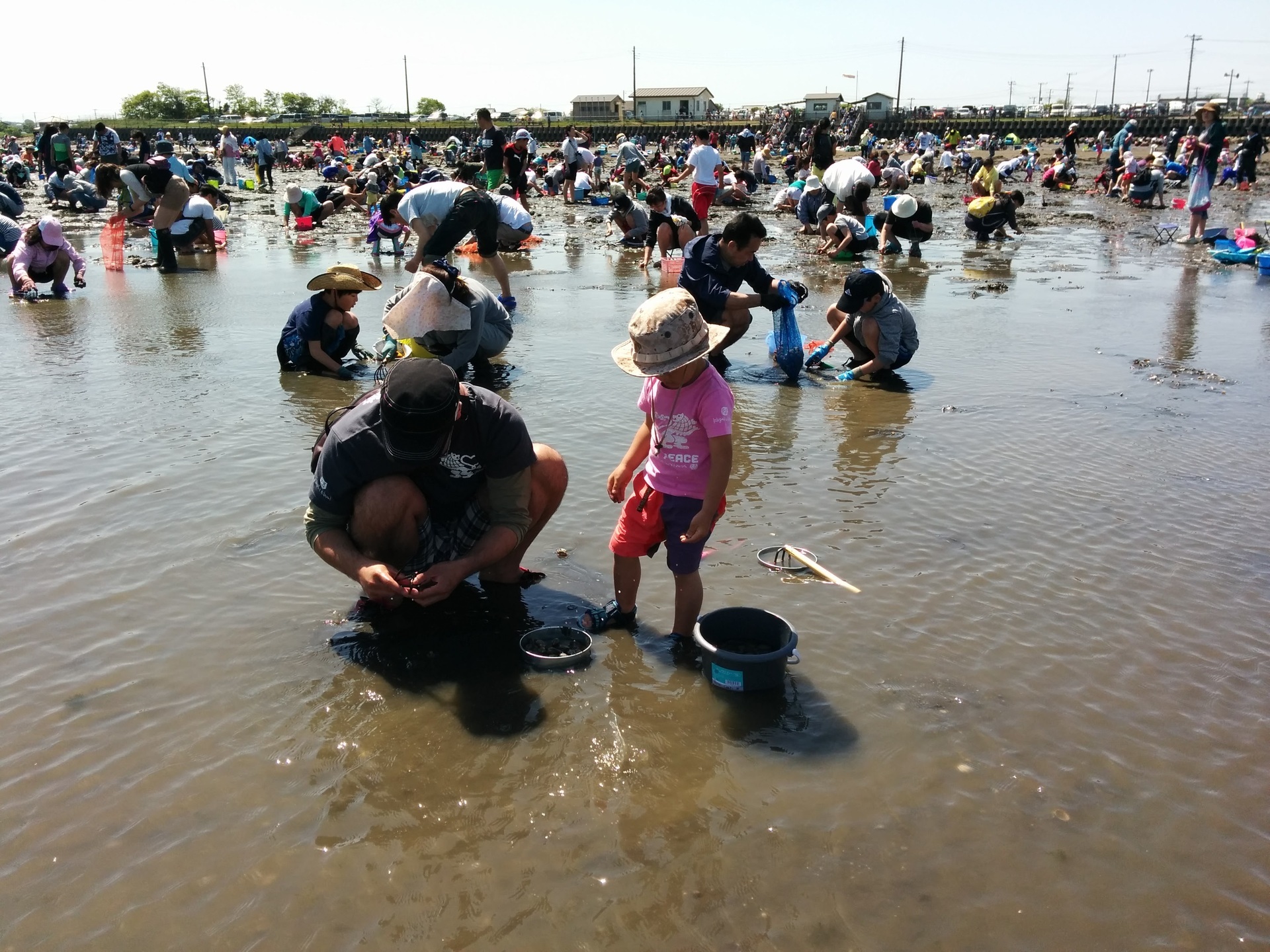 観光スポット 東京 しょーたの日誌